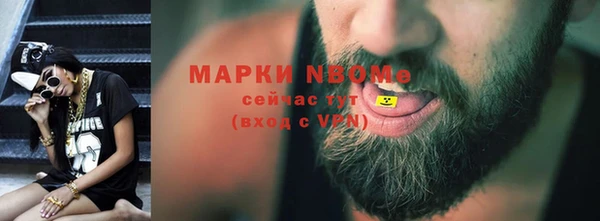прущий лед Алзамай