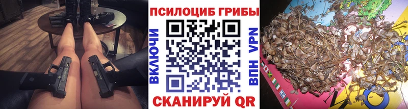 наркотики ОМГ ОМГ Галлюциногенные грибы GOLDEN TEACHER Петрозаводск